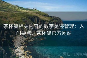 茶杯狐相关内容的数字足迹管理：入门要点，茶杯狐官方网站