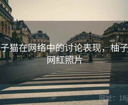 柚子猫在网络中的讨论表现，柚子猫网红照片