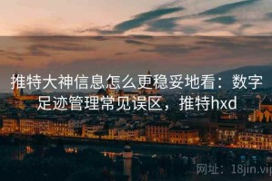 推特大神信息怎么更稳妥地看：数字足迹管理常见误区，推特hxd