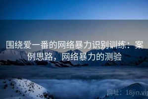 围绕爱一番的网络暴力识别训练：案例思路，网络暴力的测验