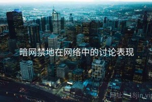 暗网禁地在网络中的讨论表现