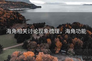 海角相关讨论现象梳理，海角功能