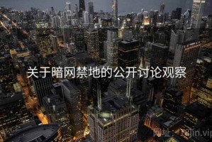 关于暗网禁地的公开讨论观察