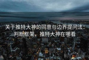 关于推特大神的同意与边界提问法：判断框架，推特大神在哪看