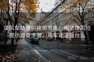 读风车动漫别被带节奏：用法律风险提示自查步骤，风车动漫是什么