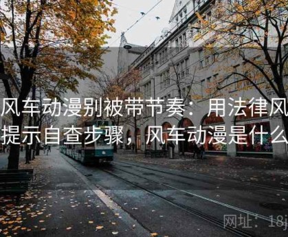 读风车动漫别被带节奏：用法律风险提示自查步骤，风车动漫是什么