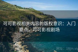 可可影视相关内容的版权意识：入门要点，可可影视剧场