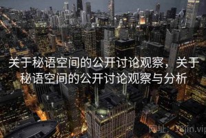 关于秘语空间的公开讨论观察，关于秘语空间的公开讨论观察与分析