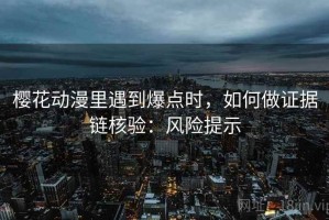 樱花动漫里遇到爆点时，如何做证据链核验：风险提示
