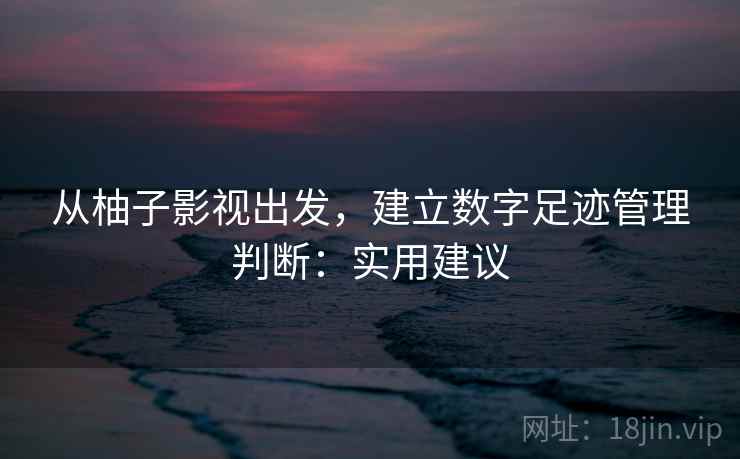 从柚子影视出发，建立数字足迹管理判断：实用建议