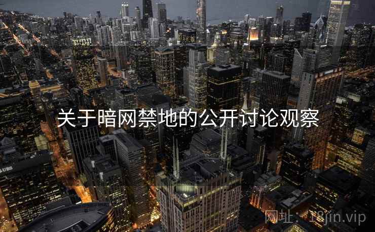 关于暗网禁地的公开讨论观察