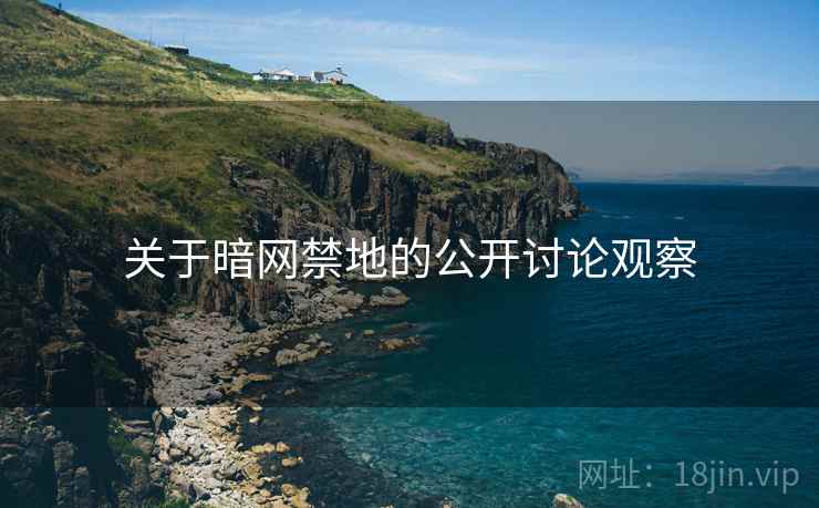关于暗网禁地的公开讨论观察